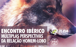 Notícia