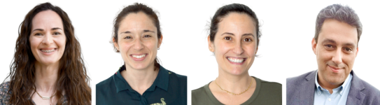 Clique para aumentar